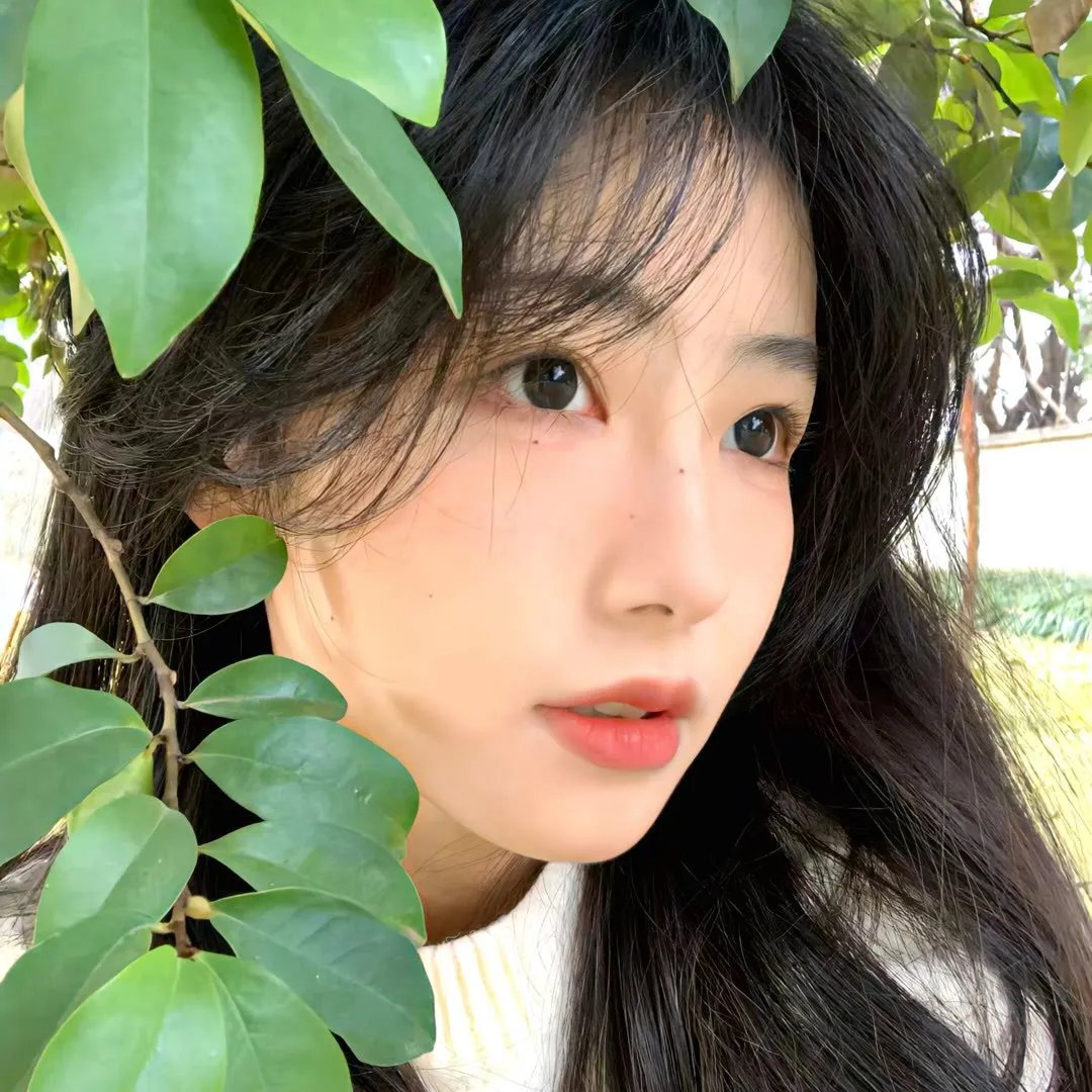 摊牌了我能看见过去一万年